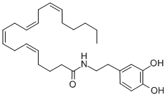 NADA;N-[2-(3,4-Dihydroxyphenyl)ethyl]-5Z,8Z,11Z,14Z-eicosatetraenaMide